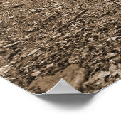 Forrest Steps XL Canvas Poster (Hoek)