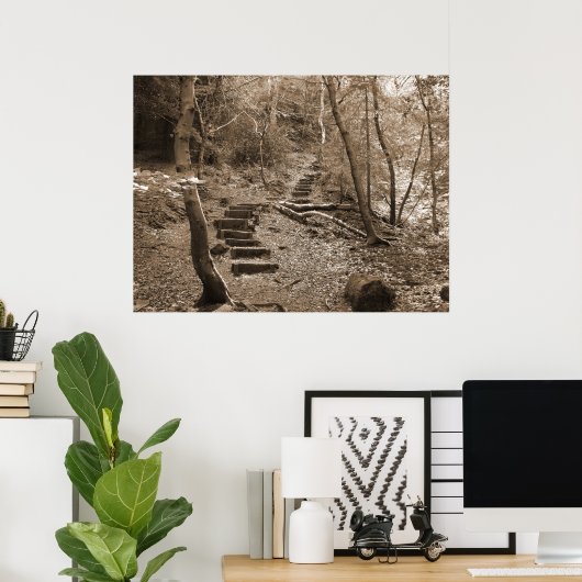 Forrest Steps XL Canvas Poster (Thuiskantoor)