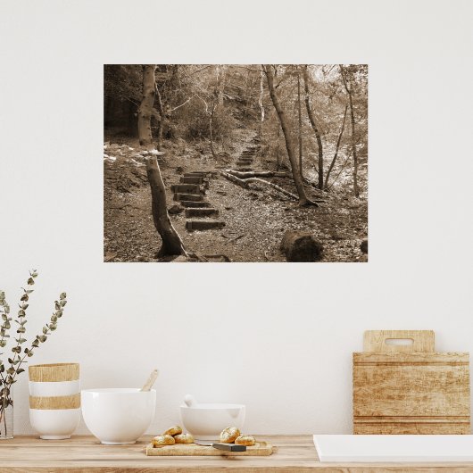 Forrest Steps XL Canvas Poster (Keuken)