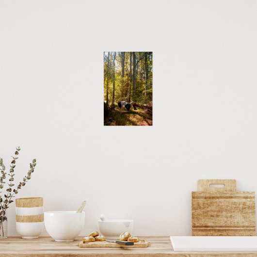 Forrest van dromen poster (Keuken)