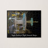 Forsyth-fontein bij nacht in Savannah GA Legpuzzel (Horizontaal)