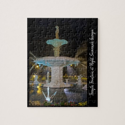 Forsyth-fontein bij nacht in Savannah GA Legpuzzel (Verticaal)