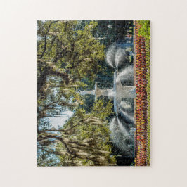 Forsyth Fountain #2 Savannah Legpuzzel