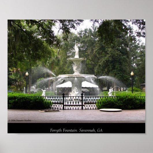 Forsyth Fountain Poster (Voorkant)
