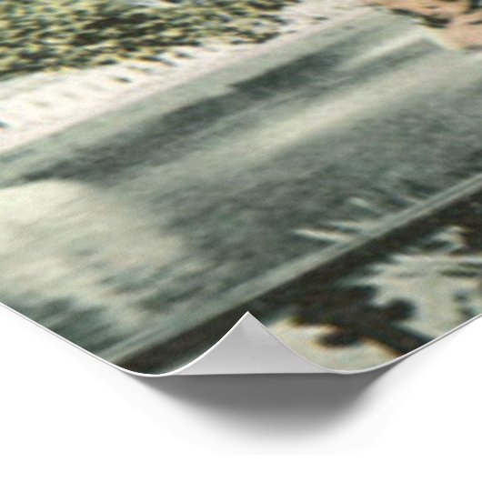 Forsyth Fountain Savannah GA Poster (Hoek)