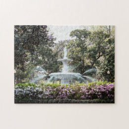 Forsyth Fountain Savannah uitdagend Puzzle Legpuzzel