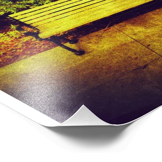 Forsyth Park Bench Foto Afdruk (Hoek)