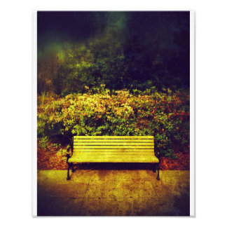 Forsyth Park Bench Foto Afdruk