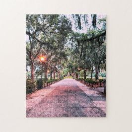 Forsyth Park Evening Puzzle Legpuzzel