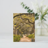 Forsyth Park - Foto, Savannah, Georgia (GA) USA Briefkaart (Staand voorkant)