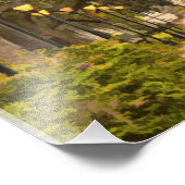 Forsyth Park - Foto, Savannah, Georgia (GA) USA Foto Afdruk (Hoek)