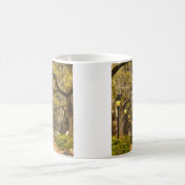 Forsyth Park - Foto, Savannah, Georgia (GA) USA Koffiemok (Center)