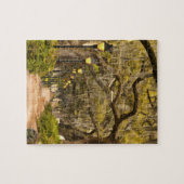 Forsyth Park - Foto, Savannah, Georgia (GA) USA Legpuzzel (Horizontaal)