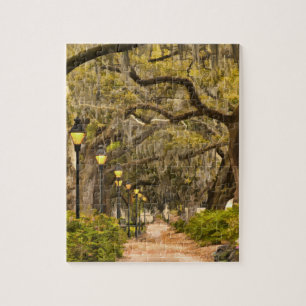 Forsyth Park - Foto, Savannah, Georgia (GA) USA Legpuzzel
