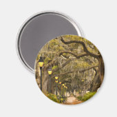 Forsyth Park - Foto, Savannah, Georgia (GA) USA Magneet (Voorkant / Achterkant)