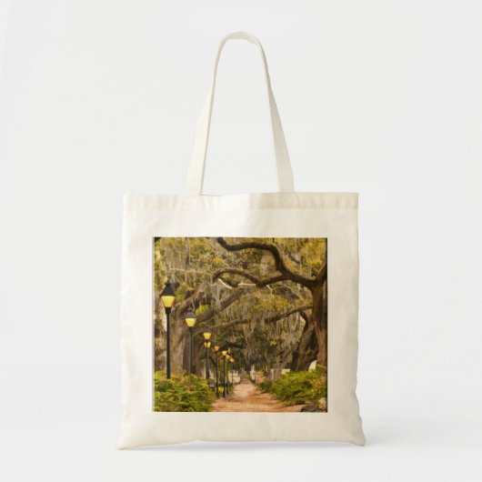 Forsyth Park - Foto, Savannah, Georgia (GA) USA Tote Bag (Voorkant)