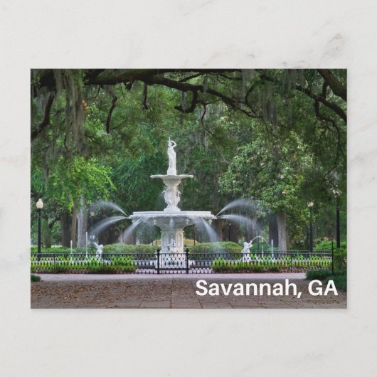 Forsyth Park Fountain in Savannah, GA Briefkaart (Voorkant)