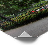 Forsyth Park Fountain - poster (Hoek)