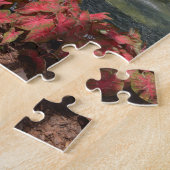 Forsyth Park Fountain Savannah Georgia Foto Legpuzzel (Zijkant)