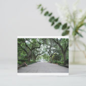 Forsyth Park in Savannah, GA Briefkaart (Staand voorkant)