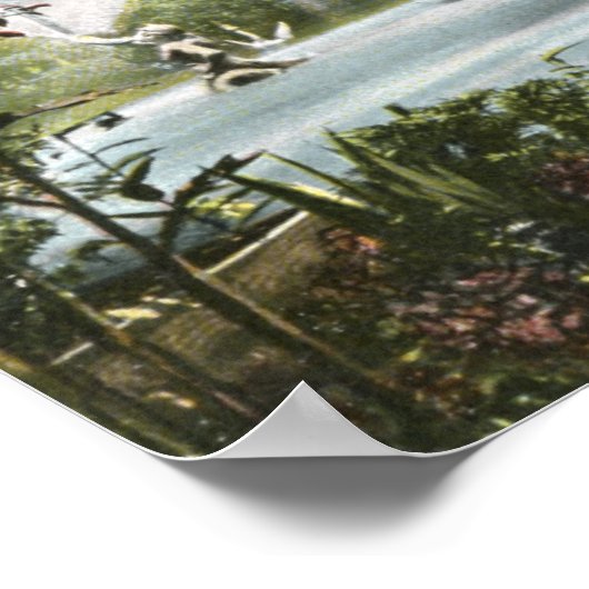 Forsyth Park, Savannah 1906  Poster (Hoek)