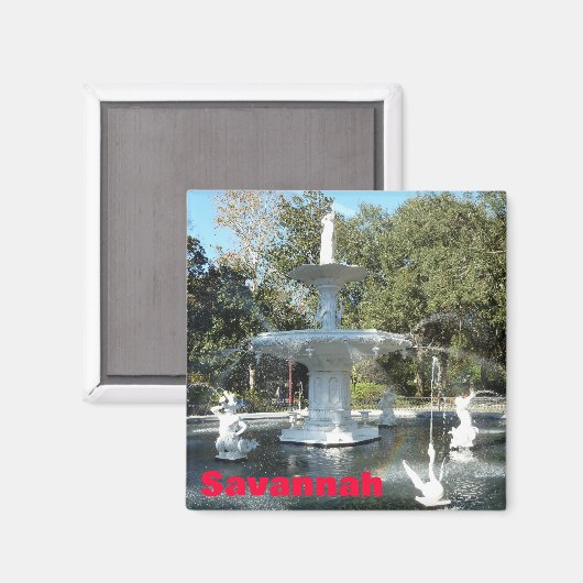 Forsyth Park Savannah Fontein Fotomagneet Magneet (Voorkant / Achterkant)