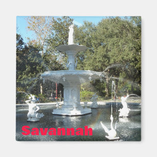 Forsyth Park Savannah Fontein Fotomagneet Magneet