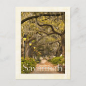 Forsyth Park - Savannah, GA Briefkaart (Voorkant)