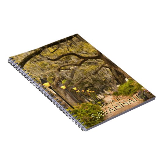  Forsyth Park - Savannah, GA, fotografie Notitieboek (Rechterzijde)