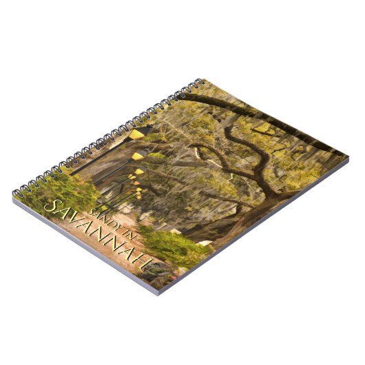 Forsyth Park - Savannah, GA, fotografie Notitieboek (Linkerzijde)