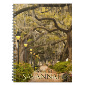 Forsyth Park - Savannah, GA, fotografie Notitieboek (Voorkant)