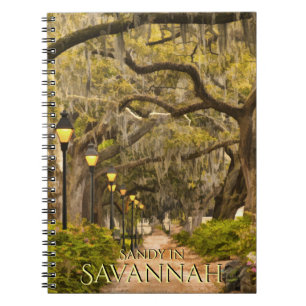  Forsyth Park - Savannah, GA, fotografie Notitieboek
