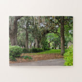 Forsyth Park, Savannah GA Legpuzzel (Horizontaal)
