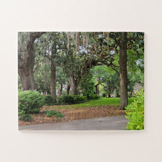 Forsyth Park, Savannah GA Legpuzzel (Horizontaal)