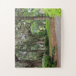 Forsyth Park, Savannah GA Legpuzzel