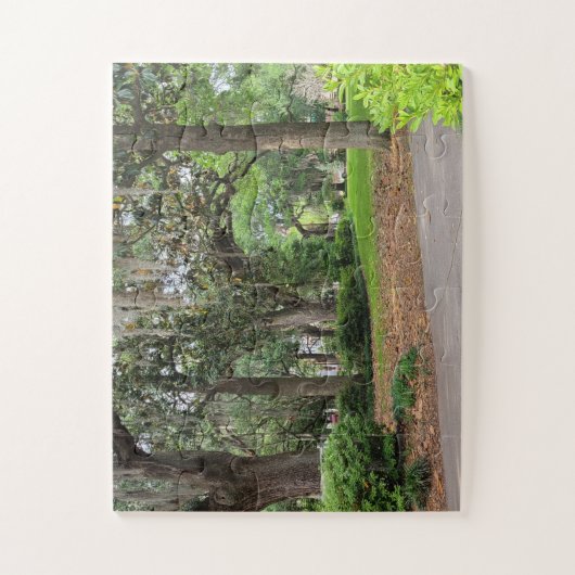 Forsyth Park, Savannah GA Legpuzzel (Verticaal)