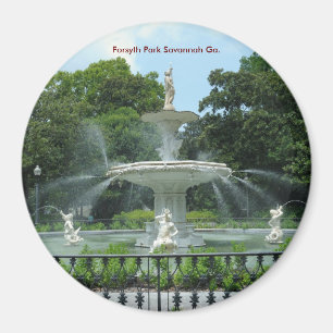 Forsyth Park Savannah Ga. Magneet