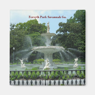 Forsyth Park Savannah Ga. Magneet