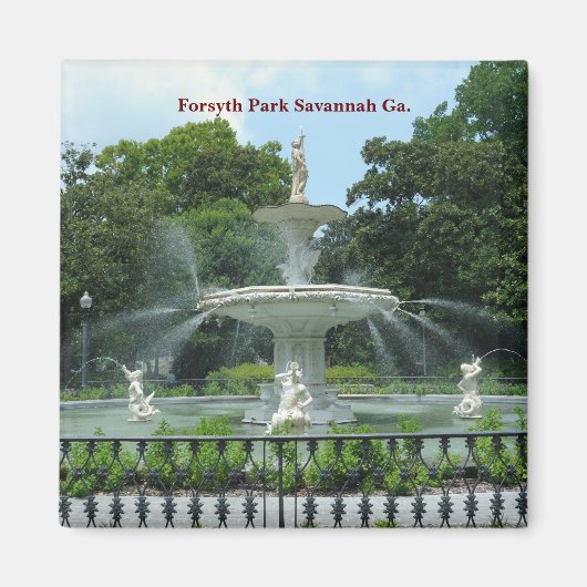 Forsyth Park Savannah Ga. Magneet (Voorkant)
