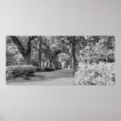 Forsyth Park, Savannah Ga Poster (Voorkant)