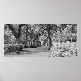 Forsyth Park, Savannah Ga Poster