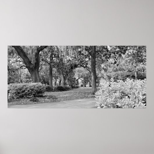 Forsyth Park, Savannah Ga Poster (Voorkant)