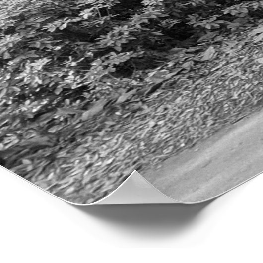 Forsyth Park, Savannah Ga Poster (Hoek)