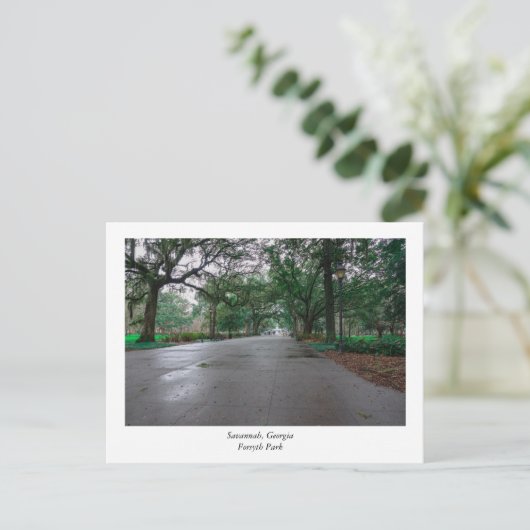 Forsyth Park Savannah Georgia Briefkaart (Staand voorkant)