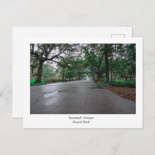 Forsyth Park Savannah Georgia Briefkaart (Voorkant / Achterkant)