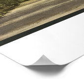 Forsyth Park, Savannah, Georgia, rond 1901 Poster (Hoek)