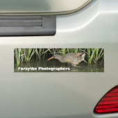Forsythe Fotografen de Bumpersticker van de Groep (Op auto)