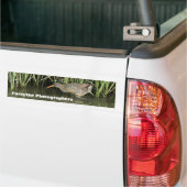 Forsythe Fotografen de Bumpersticker van de Groep (Op Truck)