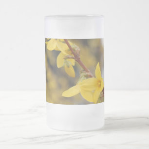 Forsythia, 迎春花, gouden klokken matglas bierpul
