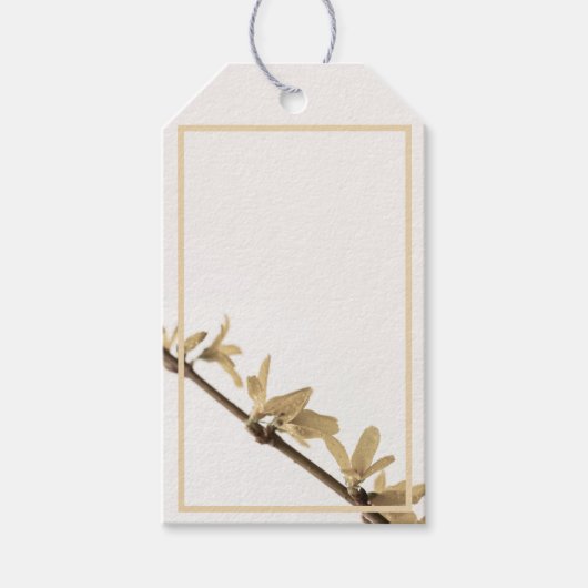 Forsythia Bloemen Lente Douches Cadeaulabel (Voorkant)